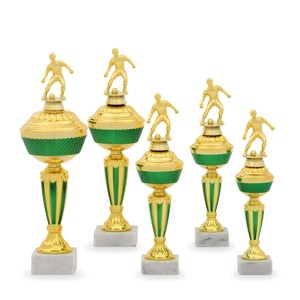 Pohár fotbal PS 22514.1