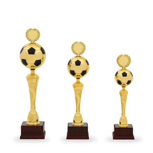 Pohár fotbal PS 22525.1