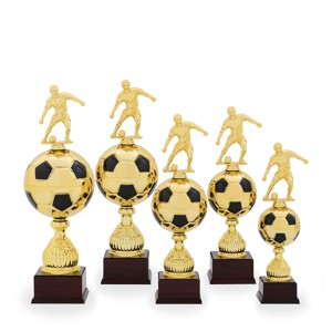 Pohár fotbal PS 22526.1