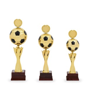 Pohár fotbal PS 22527.1