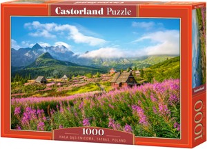 Puzzle Castorland 1000 dílků - Dolina Gąsienicowa,