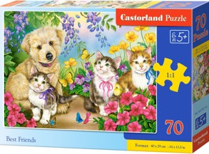 Puzzle Castorland 70 dílků premium - Nejlepší přát