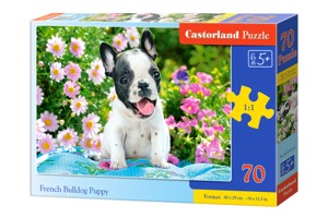 Puzzle Castorland 70 dílků premium - Stěně francou